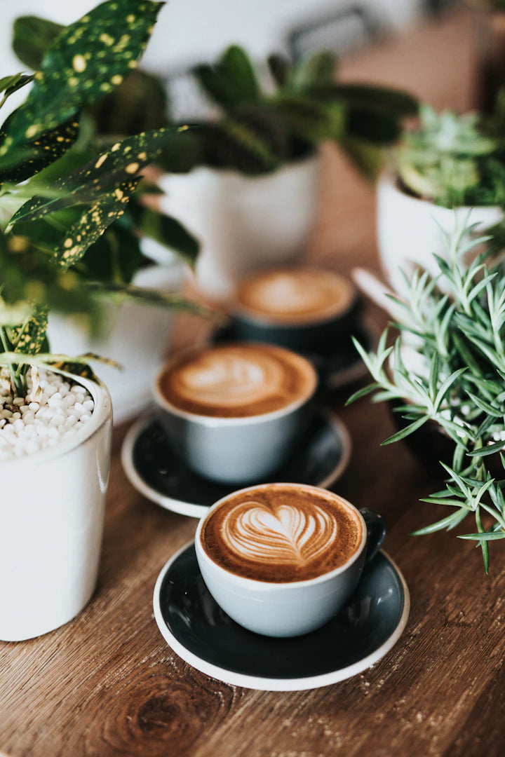 Sådan Koffein Påvirker Din Søvn