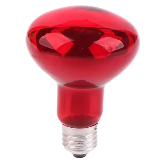 Infrarød Varme- & Lysterapi pære - 100W – Smertelindring for Muskler, Led & Krop